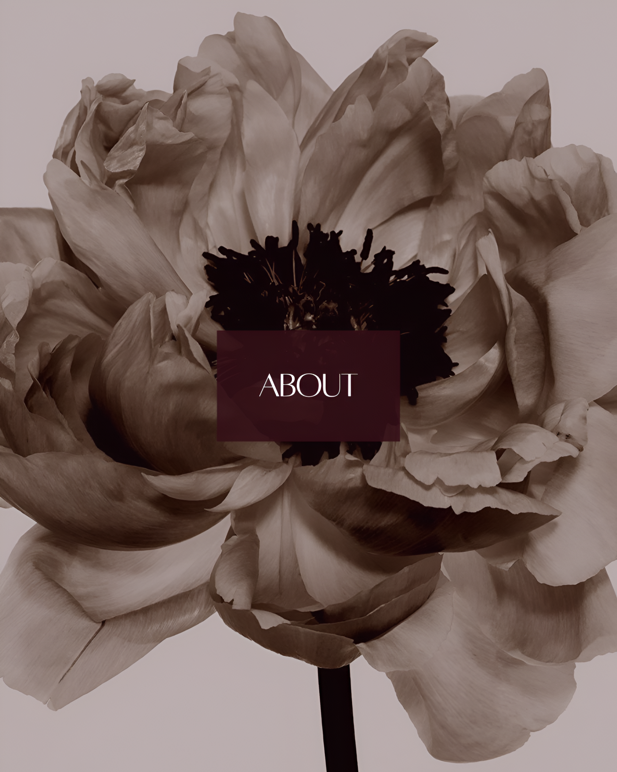 Fertility Counsellor