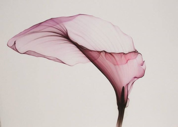 Couples Counselling for Infertility