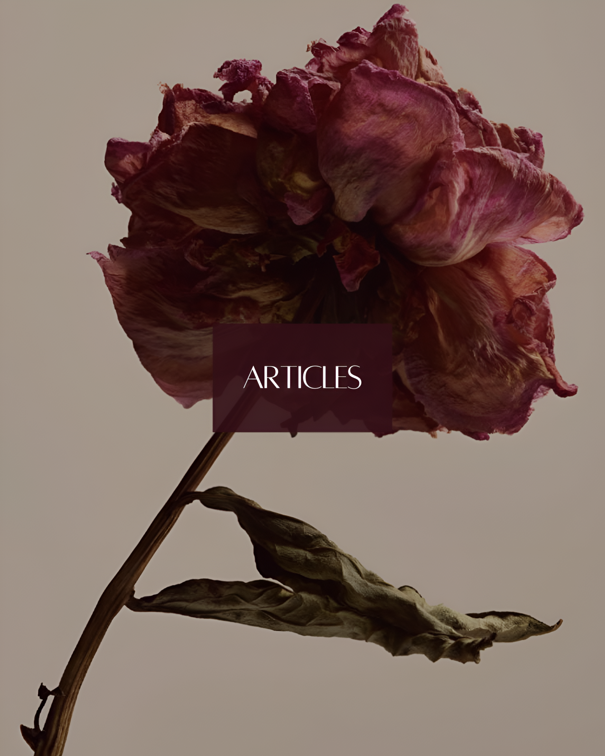 Infertility Counselling